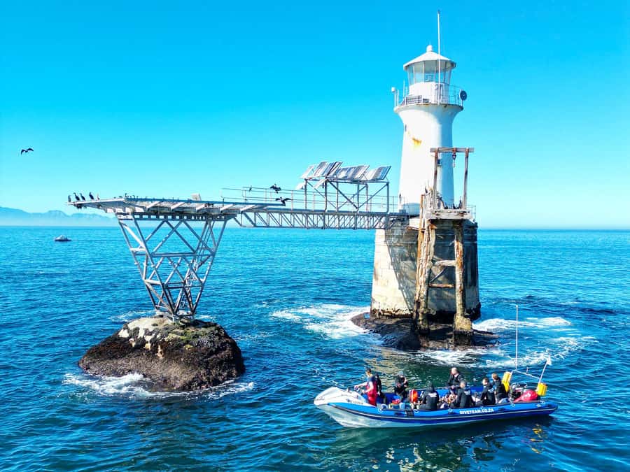 Scuba Dive in Cape Town: 2 Dives for certified divers - The boat ride and safety briefing