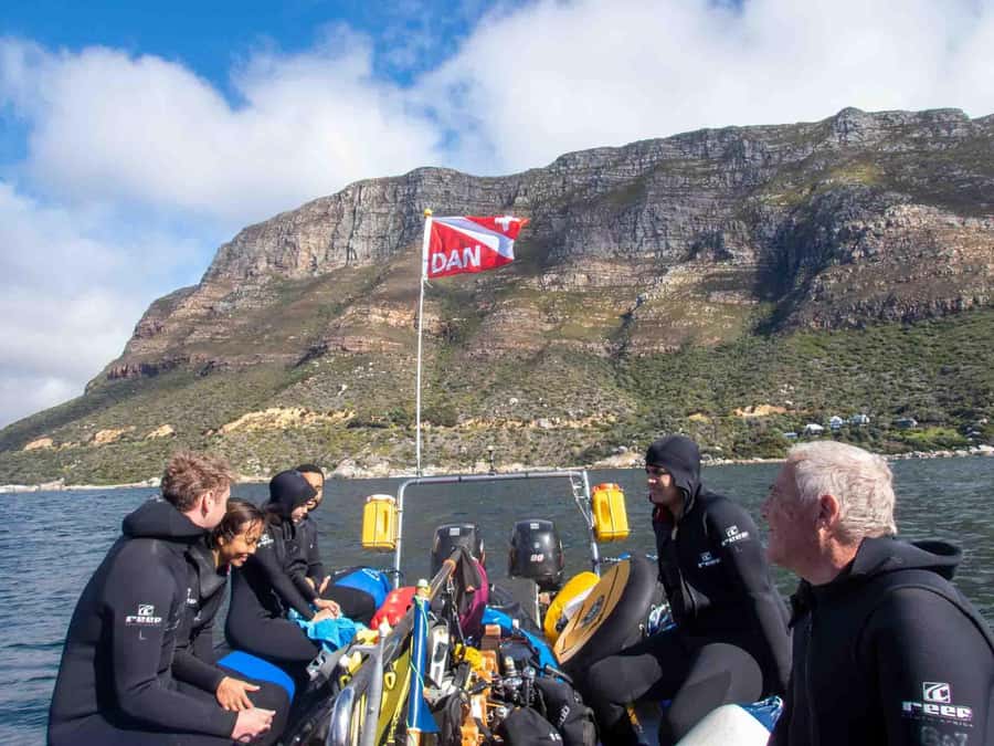 Scuba Dive in Cape Town: 2 Dives for certified divers - Second session: the kelp forest and smaller creatures