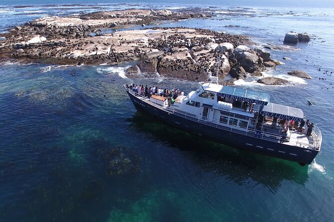 Seal Island,Cape of Good Hope&Penguins Shared Tour,From Cape Town - The ostrich farm is a quick roadside stop