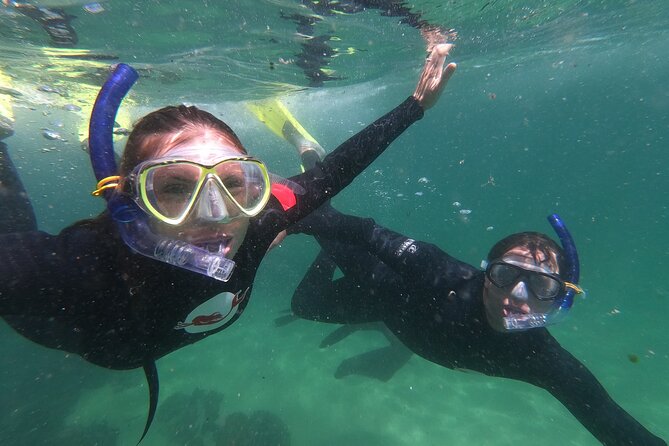 Seal Swimming Activity in Plettenberg Bay - The 20-minute ride to Robberg Nature Reserve