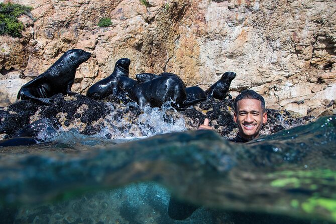 Seal Swimming Activity in Plettenberg Bay - Who should book the seal swim?