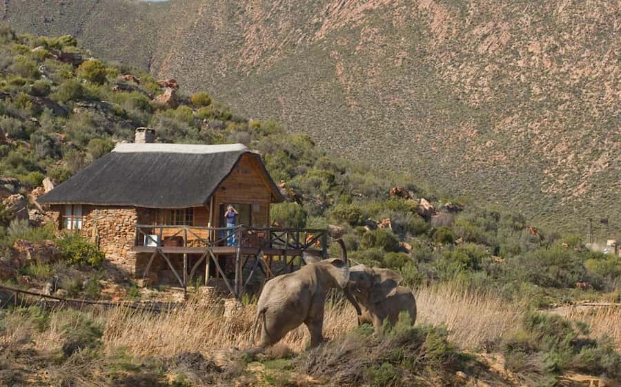 Self drive Aquila Safari Reserve Early Morning Game Drive - Is $155 per person good value?