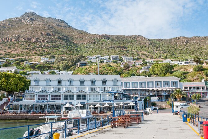 Shared Half Day Tour in Cape Peninsula with African Penguins - Chapmans Peak Drive and an important route check