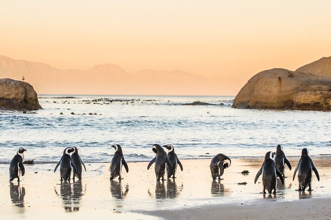 Shared Half Day Tour in Cape Peninsula with African Penguins - Cape Point Lighthouse and wide ocean views