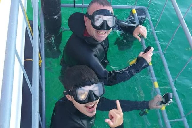 Shark Cage Diving - What the 3.5-hour shark trip is really like