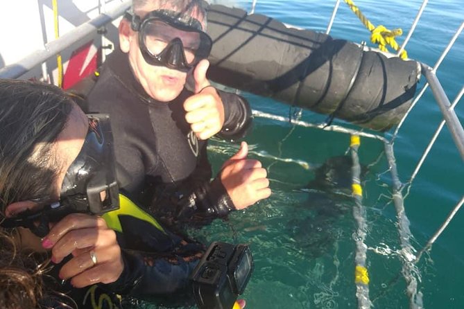 Shark Cage Diving - Why the no-chum policy matters