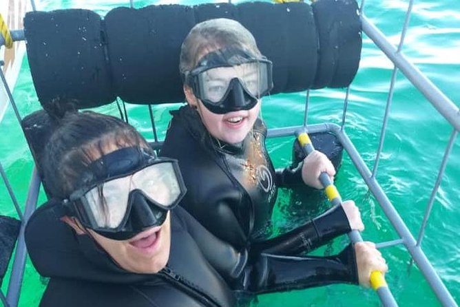 Shark Cage Diving - Life aboard the 18-person catamaran