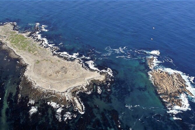 Shark Cage Diving and Viewing with transport from Cape Town - Food, warmth, and the return to Gansbaai