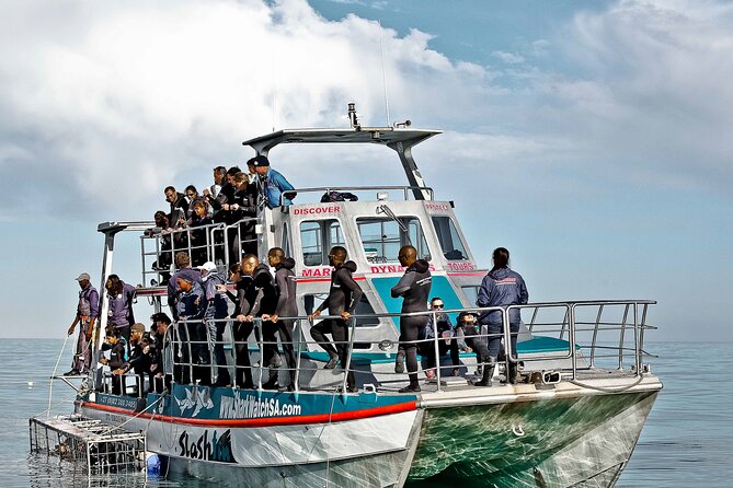 Shark Cage Diving and Viewing with transport from Cape Town - Who should book this experience?