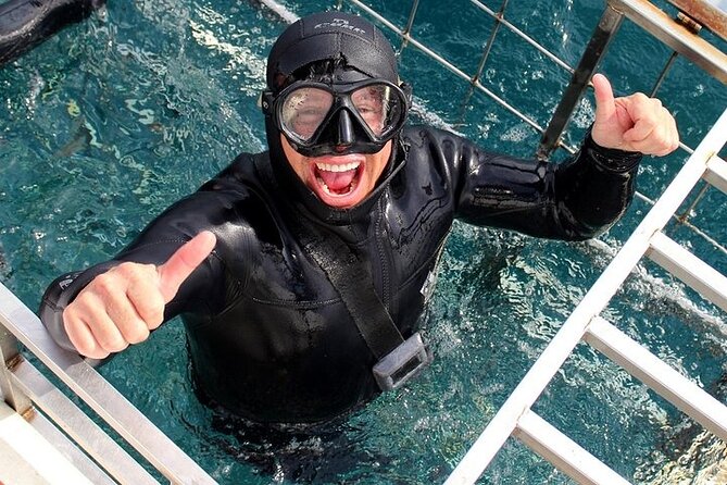 Shark Cage Diving and Viewing with transport from Hermanus - What the marine biologist adds