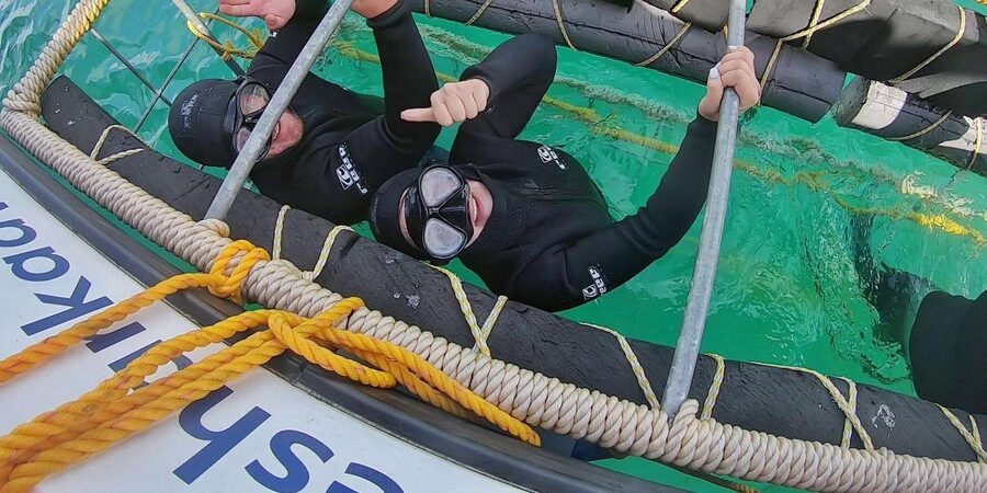 Shark & Whale Trip Combo - Whale watching with a separate boat operator