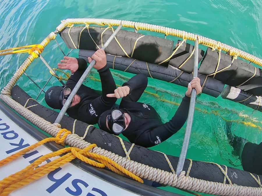 Shark & Whale Trip Combo - How weather and animal activity shape the day