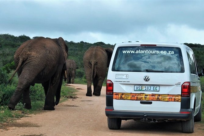 Shore Excursion Cruise Ships Port Elizabeth, Addo Elephant Park - The interpretation center and time to slow down