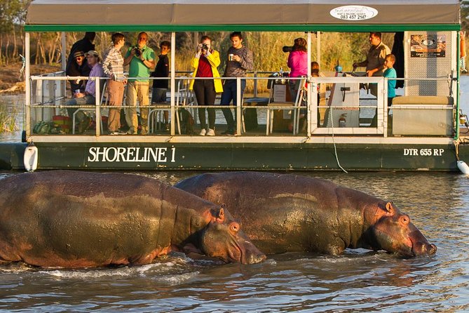Shoreline Hippo and Crocodile Boat Cruises, iSimangaliso Wetland Park - Starting at the Siyabonga Tourism Centre