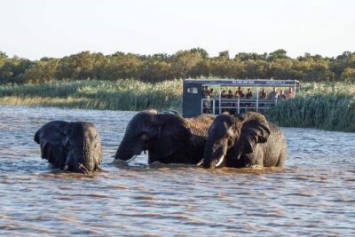 Shoreline Hippo and Crocodile Boat Cruises, iSimangaliso Wetland Park