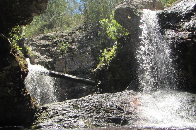 Short Canyoning Trip in The Crags - Key points to know before you book