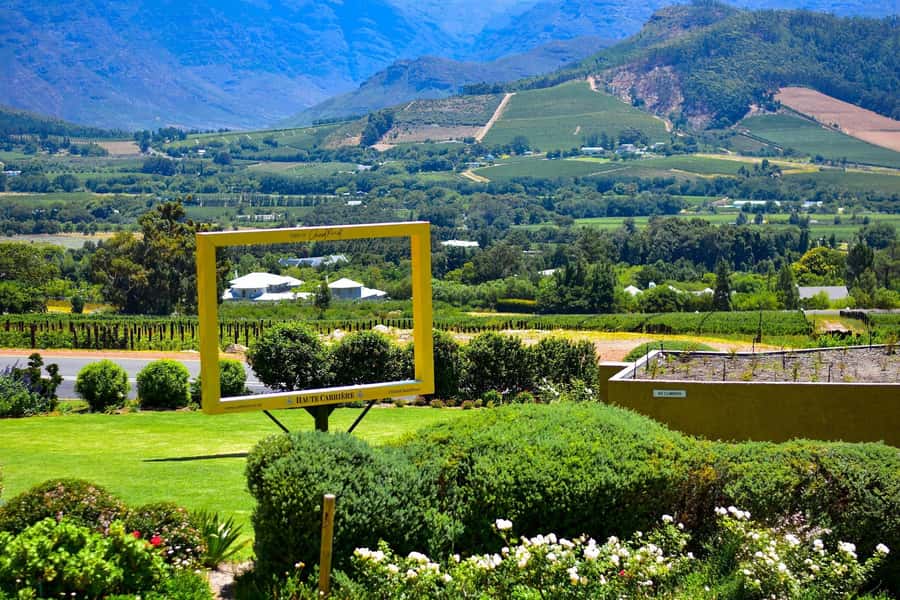 Sip & Savor : A Perfect Half-day Wine Escape to Stellenbosch - How Much Value Do You Get for $53?