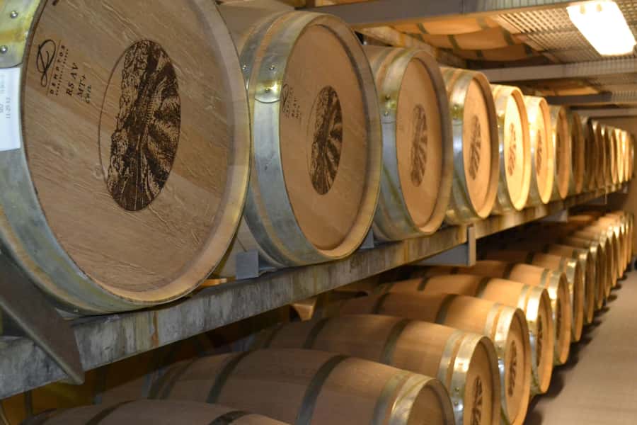 Sip & Savor : A Perfect Half-day Wine Escape to Stellenbosch - Forty-Five Minutes in Historic Stellenbosch