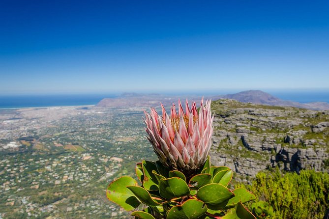 Skeleton Gorge to Table Mountain summit - Starting at Kirstenbosch before the mountain wakes up
