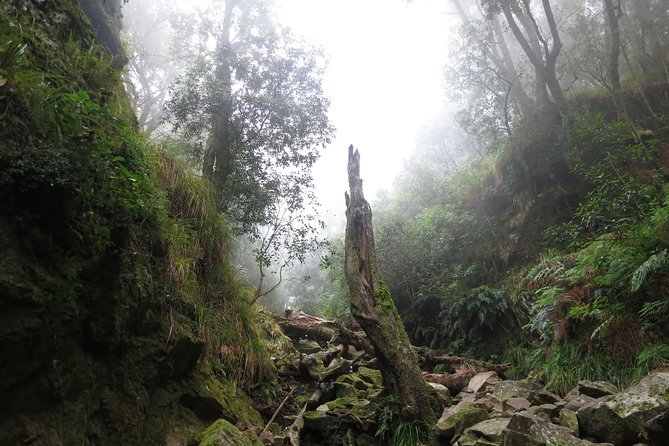 Skeleton Gorge to Table Mountain summit - Why a guided climb is worth the price