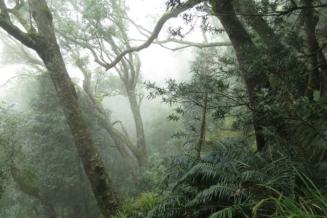 Skeleton Gorge to Table Mountain summit - Who will enjoy this Table Mountain route