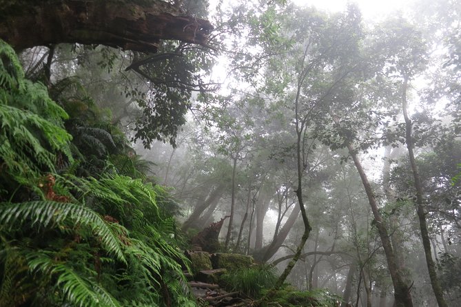 Skeleton Gorge to Table Mountain summit - Reaching the highest point on Table Mountain