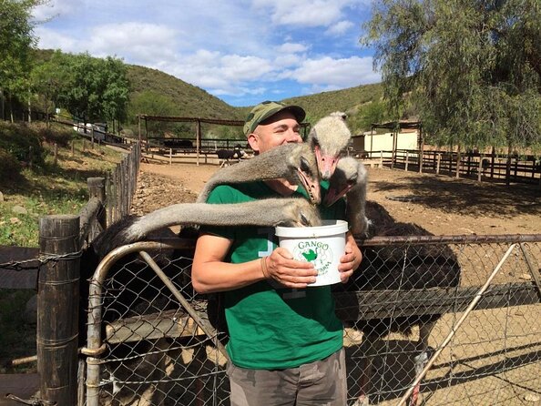 Skip the Line: Highgate Ostrich Farm Tour Ticket - Key points to know before you go