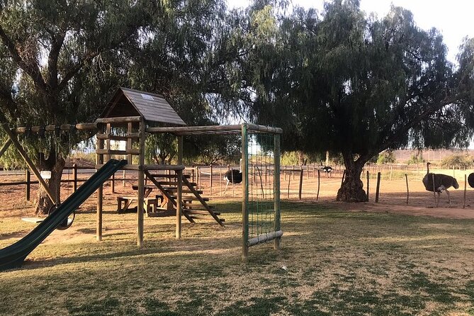 Skip the Line: Highgate Ostrich Farm Tour Ticket - The farmlands and the Klein Karoo setting