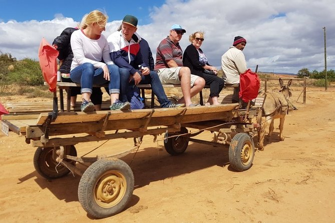 Skip the Line: Highgate Ostrich Farm Tour Ticket - Crafts made from feathers, eggs, and leather
