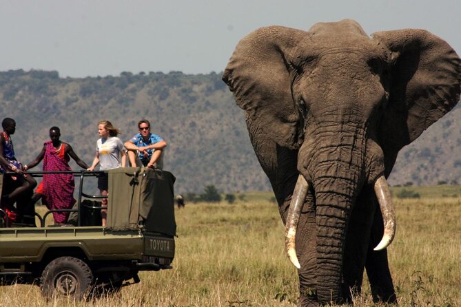 Small Group 3 Day Garden Route Adventure from Cape Town - Robberg Nature Reserve and Plettenberg Bay