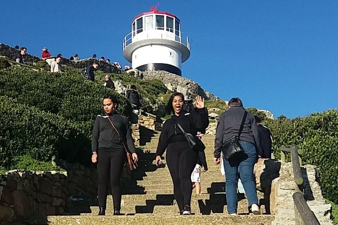 Small Group Cape Of Good Hope Penguins Wine Tasting Inc Park Fees - A long Cape Peninsula day from the Silo Hotel