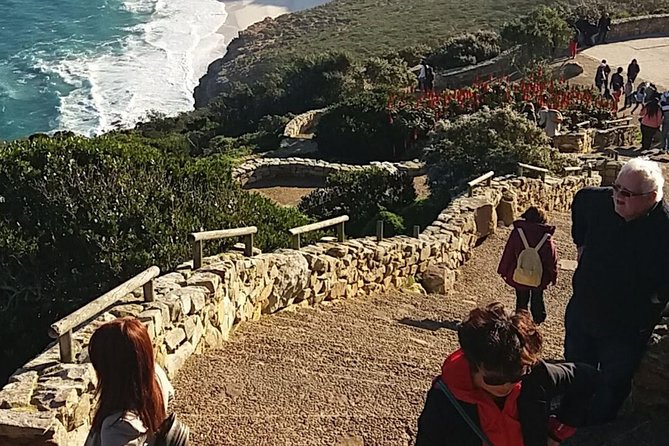 Small Group Cape Of Good Hope Penguins Wine Tasting Inc Park Fees - Boulders Beach and Simon’s Town penguins