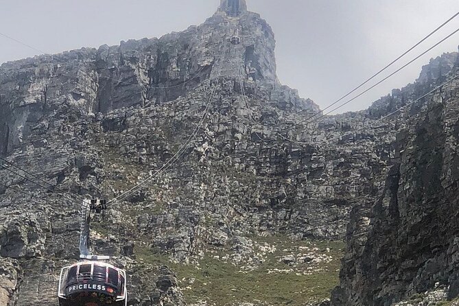 Small Group Table Mountain Penguin Colony and Cape Point Tour - One day, three very different sides of Cape Town