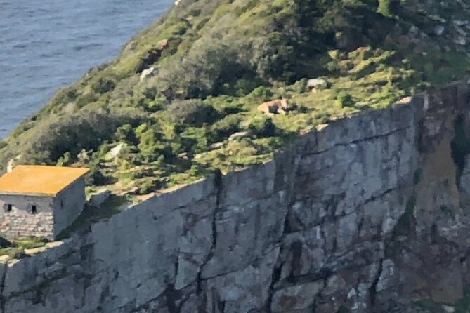 Small Group Tour Boulders Beach Penguin Colony Cape of Good Hope - Simon’s Town and the route toward the penguins
