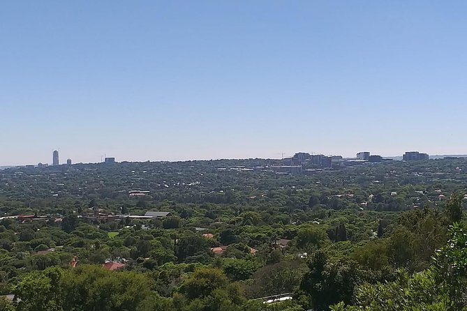Soweto and Johannesburg Exclusive Full Day Guided Tour - Mandela Bridge, Newtown, and Johannesburg’s gold origins