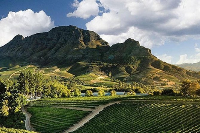 Splendour in the Winelands - Private Tour - Stop two: choose between cheese and biltong