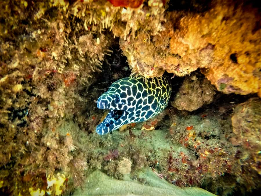 St. Lucia: Cape Vidal Snorkeling Adventure - The drive from St. Lucia to Cape Vidal