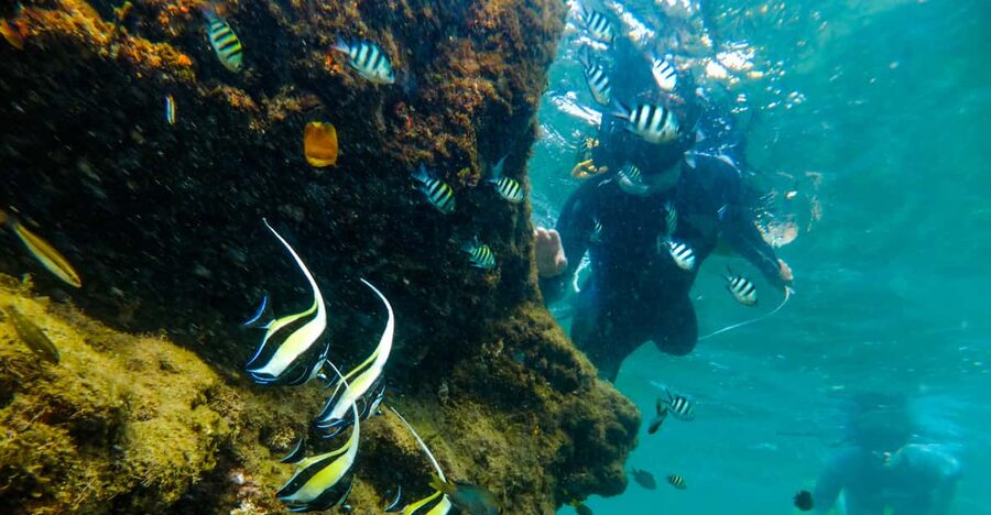 St. Lucia: Cape Vidal Snorkeling Adventure - What the $28 price really covers