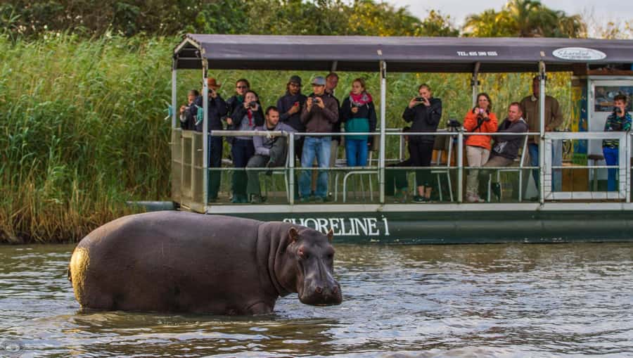 St Lucia: Hippo and Crocodile Cruise on a 15-Seat Vessel - Key points at a glance