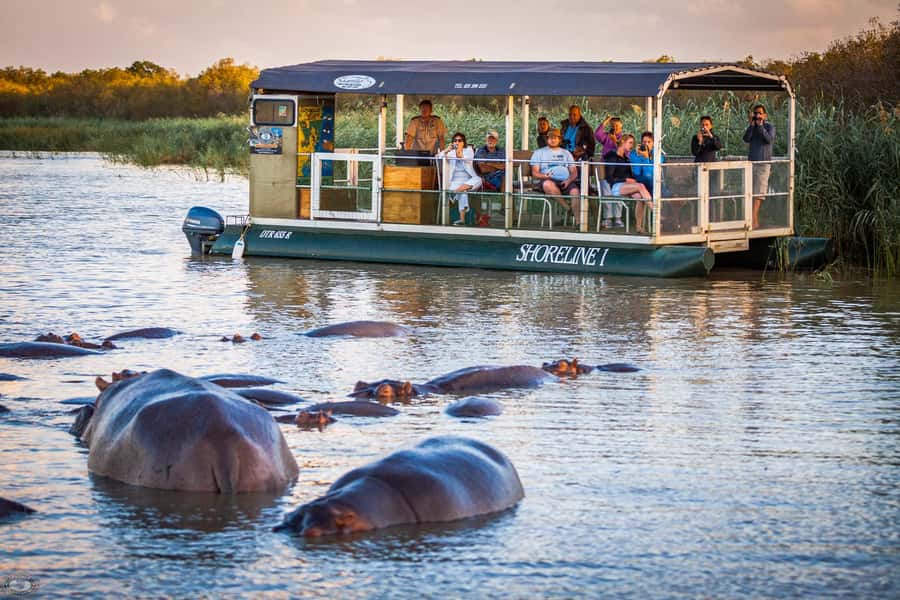 St Lucia: Hippo and Crocodile Cruise on a 15-Seat Vessel - Why Lake St Lucia is such a good place for hippo watching