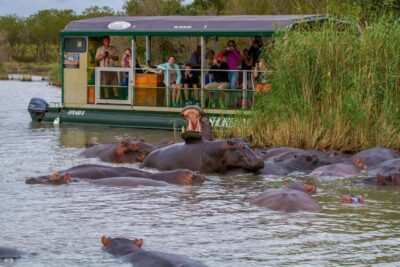Hippo and Crocodile Cruise on a 15-Seat Vessel