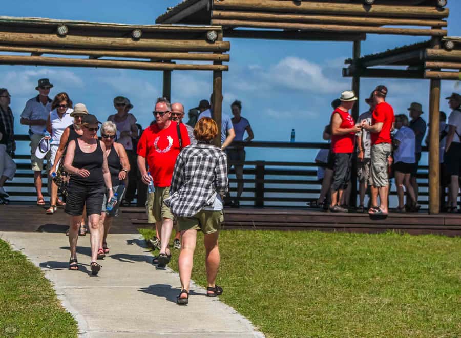 St Lucia: iSimangaliso Wetland Park: Full-Day/Half-Day Tour - Looking for animals along the park roads