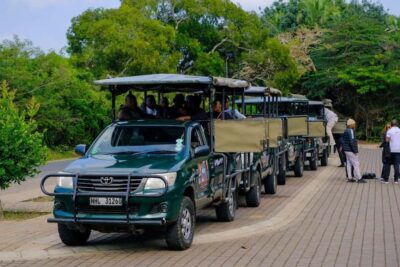 iSimangaliso Wetland Park: Full-Day/Half-Day Tour