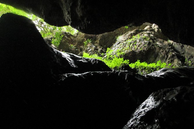 Standard Canyoning Trip in The Crags, South Africa - Swimming and hiking through the river corridor