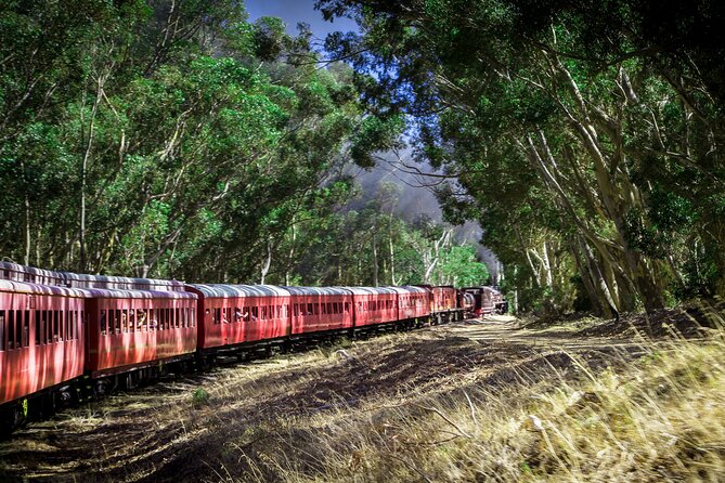 Steam Train to Elgin Railway Market - Seating deserves careful attention