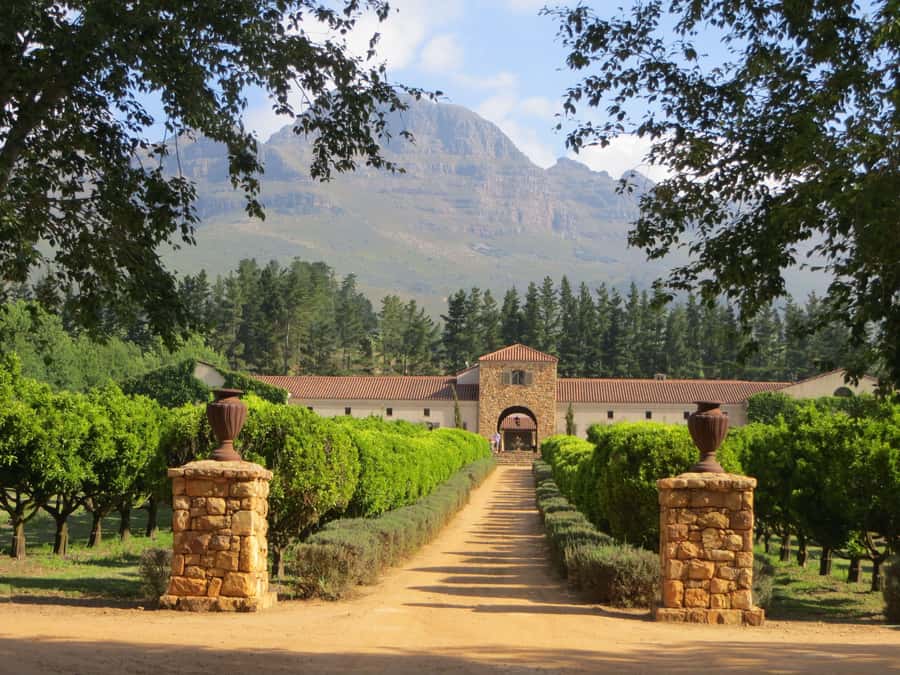 Stellenbosch: All-inclusive Private Wine Tour & Tastings - Why this private Stellenbosch route works