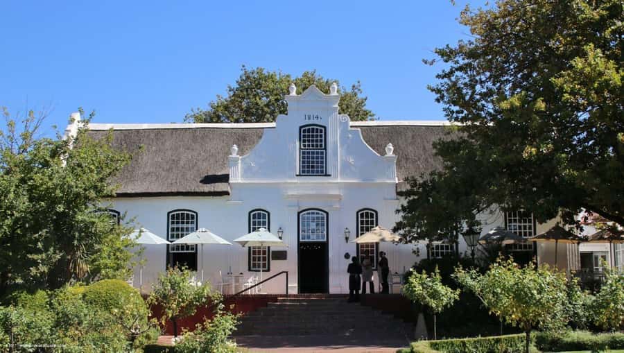 Stellenbosch: All-inclusive Private Wine Tour & Tastings - Vineyard walk and cellar visit