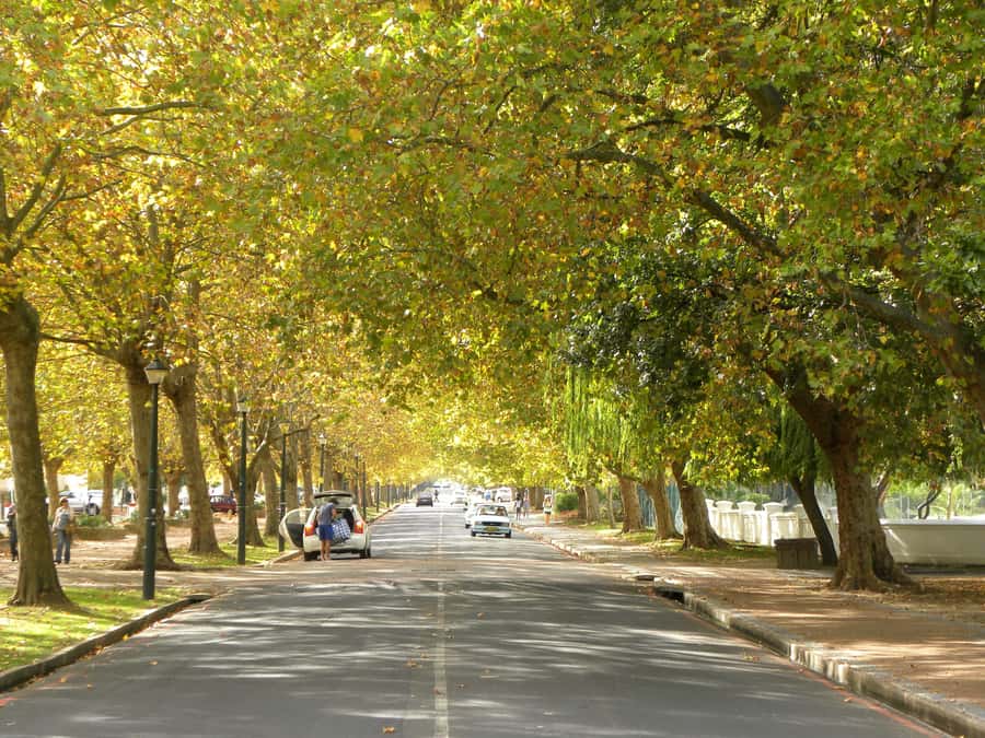 Stellenbosch: All-inclusive Private Wine Tour & Tastings - Transport, timing, and the real value of $158