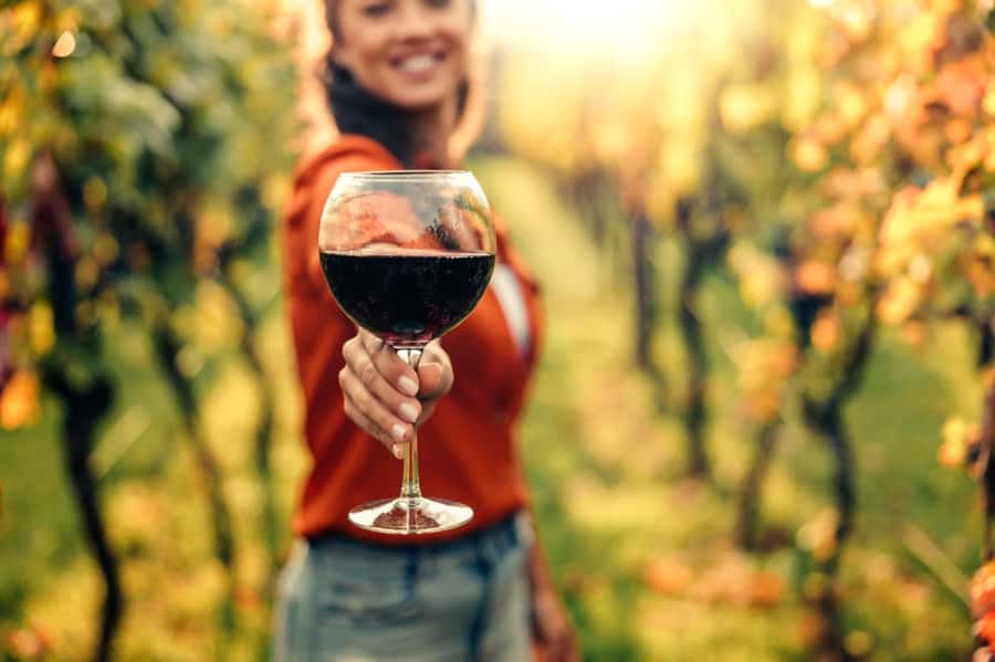 Stellenbosch: Countryside Banhoek valley E-Bike Wine Tour - Riding the Banhoek farm roads