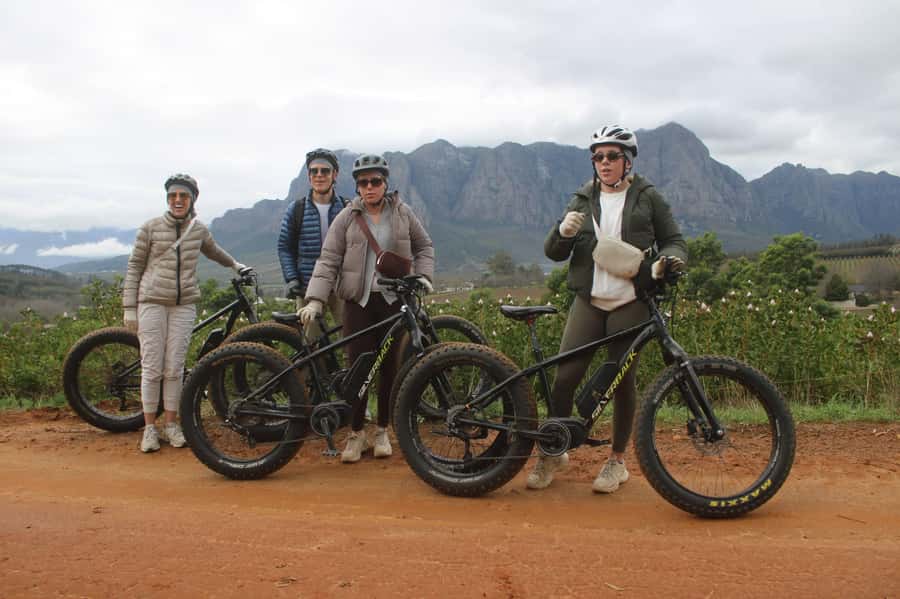 Stellenbosch: Countryside Banhoek valley E-Bike Wine Tour - First wine-farm stop: Rainbow’s End